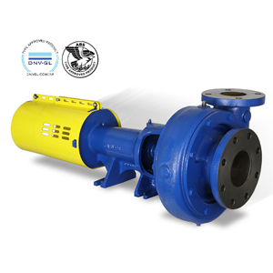 Carver GH Pump End Suction Centrifugal