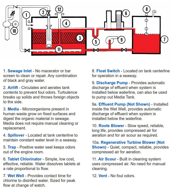 Marine Sanitation Device Flow Diagram M and MX