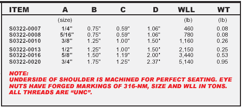 Stainless Lifting Eye Nut