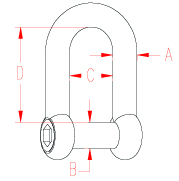 Stainless Steel Straight D Shackle