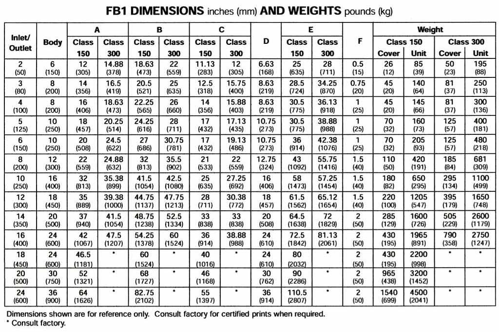 FB1 Fabricated Basket Simplex Strainer